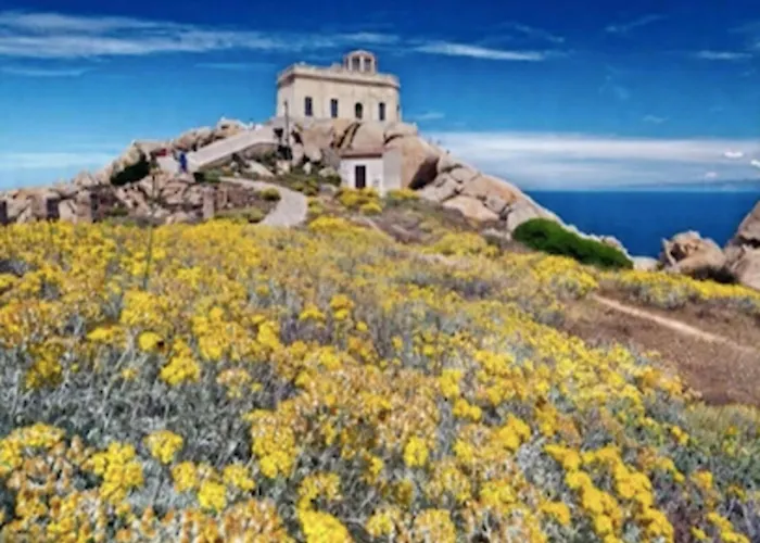 Апартаменты Bright 3 Guest With Pool Санта-Тереза-Галлура